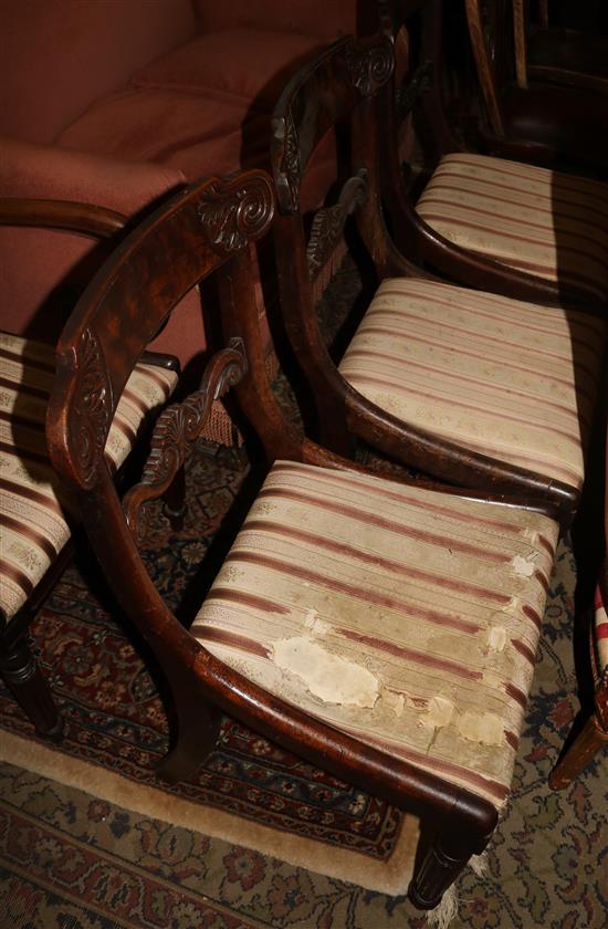 Set 4 William IV dining chairs